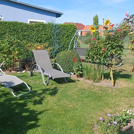 Ferienwohnung Leitzsch Wustrow  Eksteriør billede