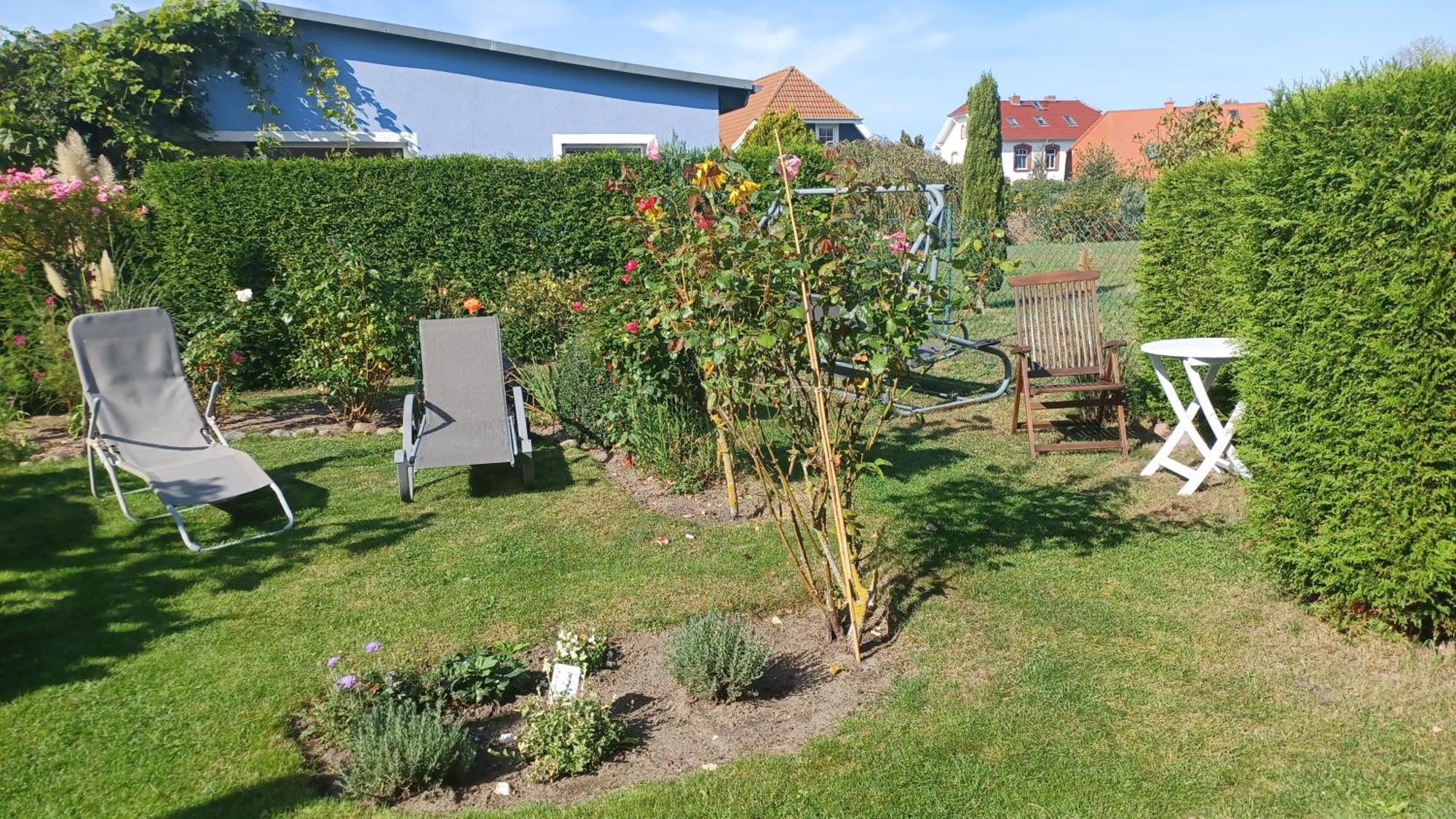 Ferienwohnung Leitzsch Wustrow  Eksteriør billede